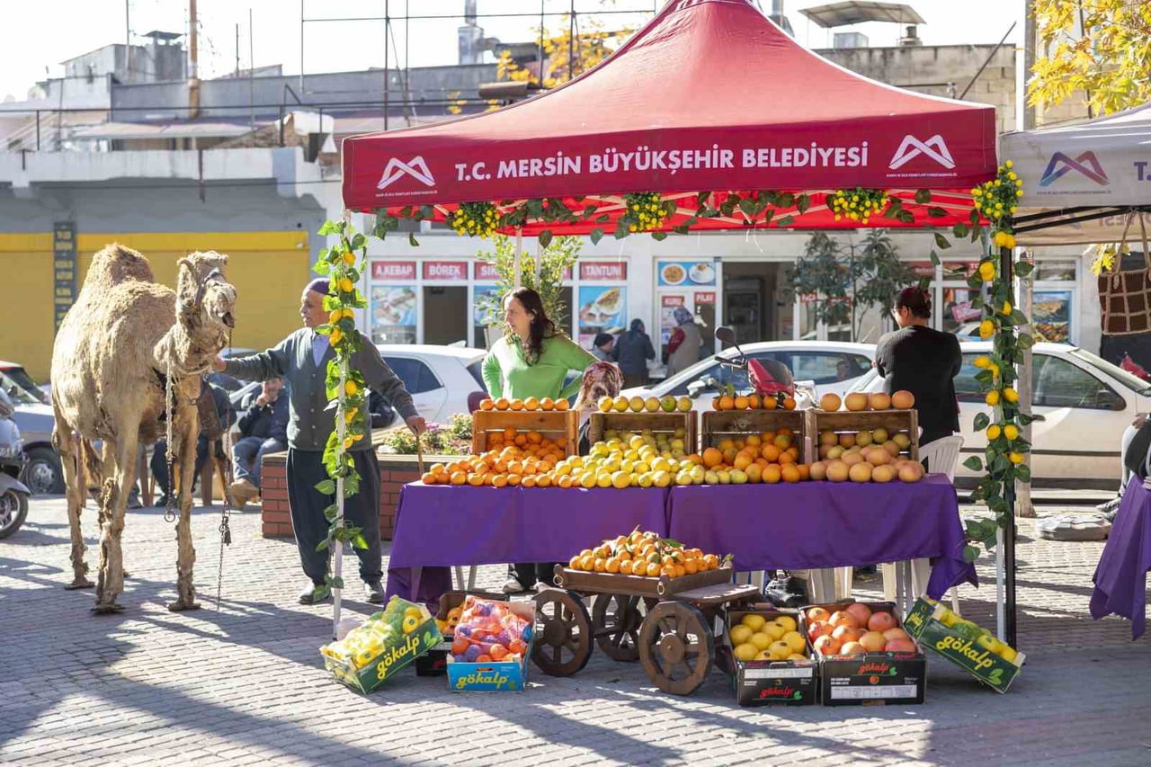 MERSİN BÜYÜKŞEHİR BELEDİYESİ KADIN VE AİLE HİZMETLERİ DAİRESİ BAŞKANLIĞI BÜNYESİNDE HİZMET VEREN...