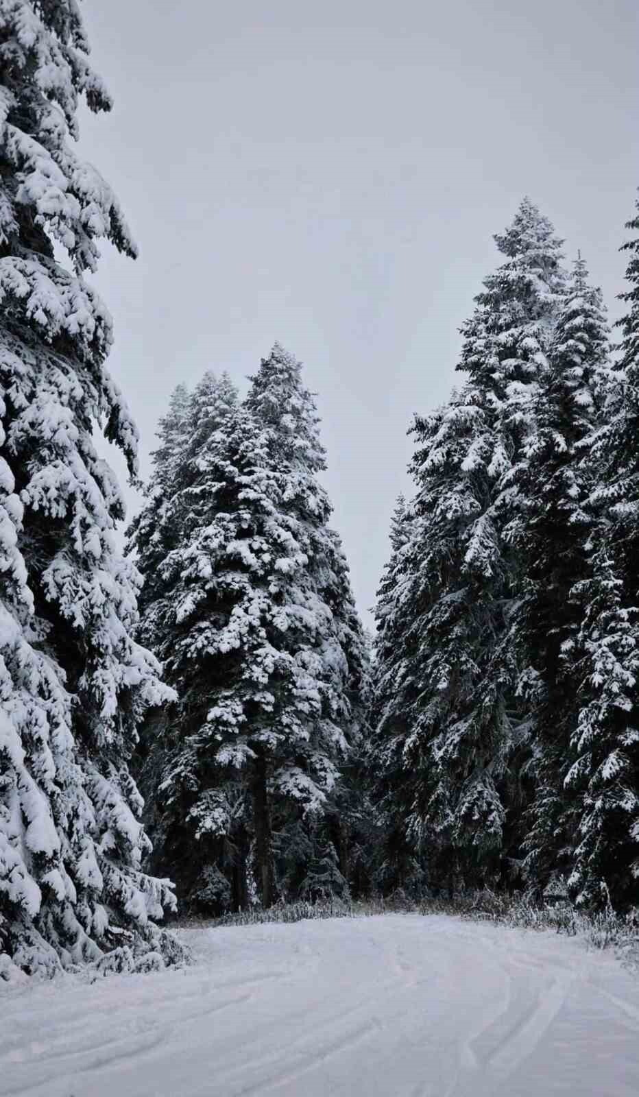 METEOROLOJİ GENEL MÜDÜRLÜĞÜ’NÜN UYARIDA BULUNDUĞU ÇANKIRI’NIN YÜKSEK KESİMLERİNDE KAR YAĞIŞI...
