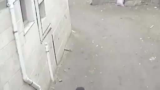 Mısır'da kuzeninin kaçırılmasını engellemeye çalışan çocuğun direndiği anlar sosyal medyada gündem...