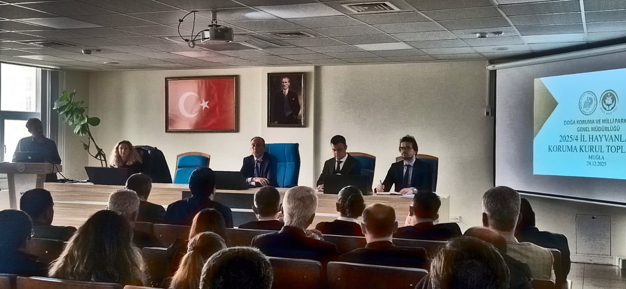 MUĞLA'DA SAHİPSİZ HAYVANLAR İÇİN KRİTİK ZİRVE