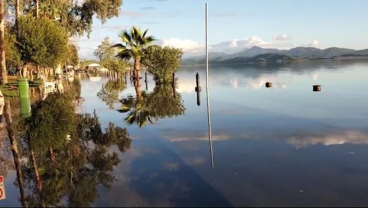 MUĞLA’NIN KÖYCEĞİZ İLÇESİNDE BİRKAÇ GÜNDÜR ARALIKSIZ DEVAM EDEN YAĞIŞLAR SONRASI NAM NAM ÇAYI...