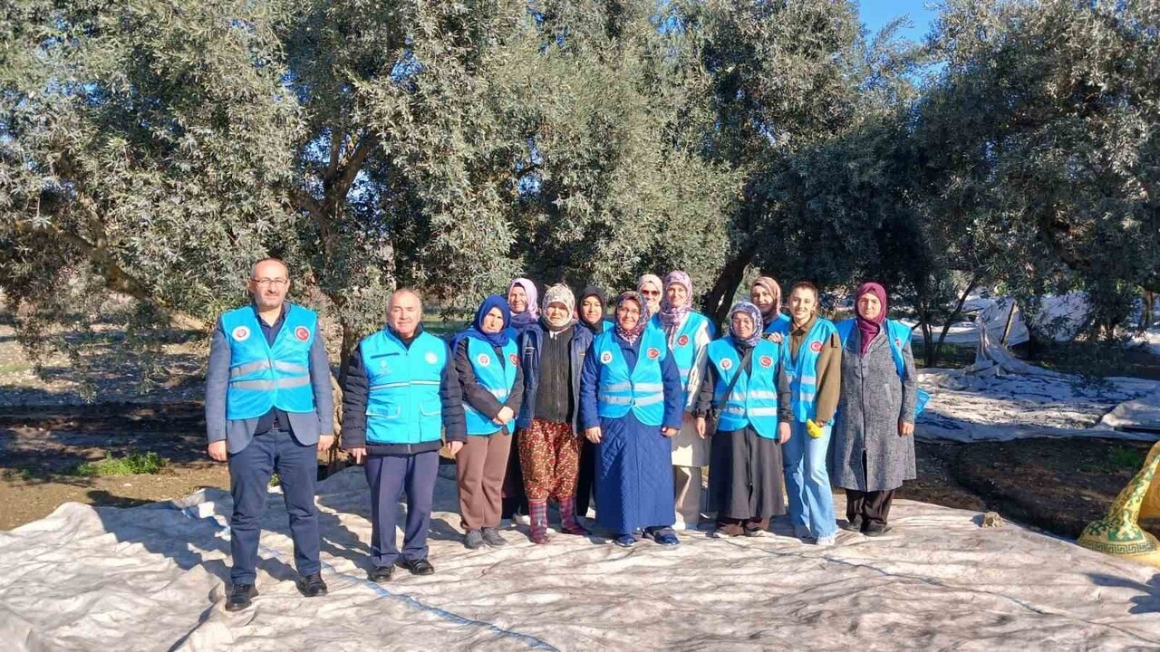 MUĞLA YATAĞAN İLÇE MÜFTÜLÜĞÜ, İLÇENİN EN ÖNEMLİ GELİR KAYNAKLARINDAN BİRİ OLAN ZEYTİN HASADI...
