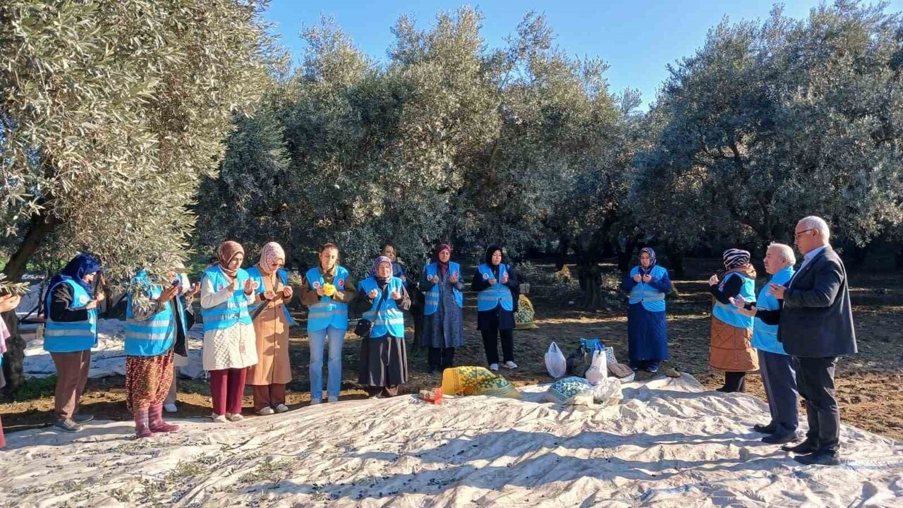 MUĞLA YATAĞAN İLÇE MÜFTÜLÜĞÜ, İLÇENİN EN ÖNEMLİ GELİR KAYNAKLARINDAN BİRİ OLAN ZEYTİN HASADI...