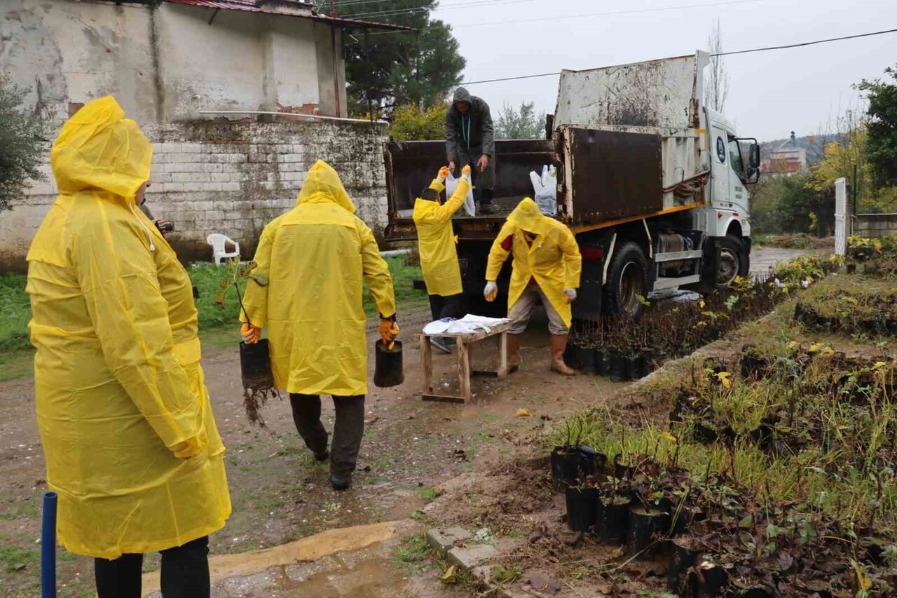 NAZİLLİ BELEDİYESİ, "YEŞEREN TOPRAKLAR" PROJESİ KAPSAMINDA IŞIKLAR MAHALLESİ’NDE DÜZENLEDİĞİ...