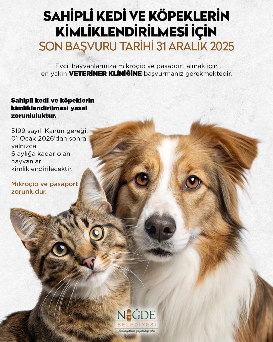 NİĞDE BELEDİYESİ, SAHİPLİ KEDİ VE KÖPEKLERİN KİMLİKLENDİRİLMESİ KONUSUNDA VATANDAŞLARI...