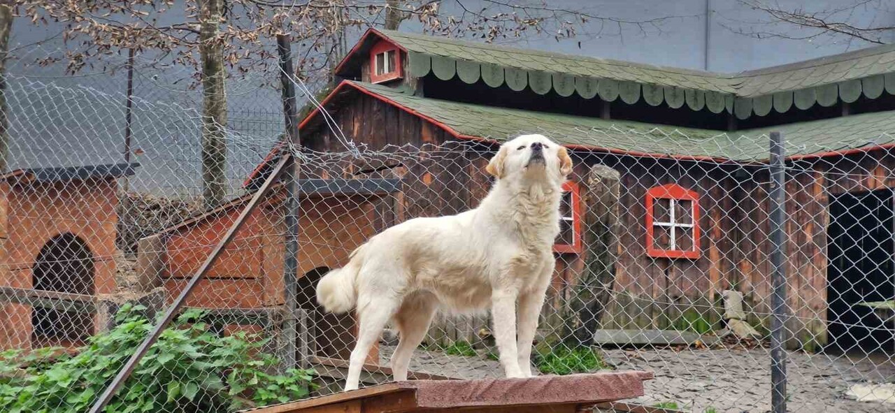 ONDOKUZ MAYIS ÜNİVERSİTESİ (OMÜ) ÖĞRENCİLERİ VE AKADEMİSYENLERİ, SOSYAL SORUMLULUK BİLİNCİYLE...