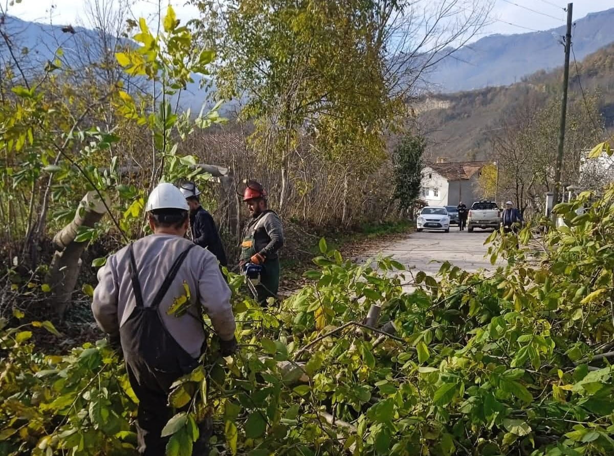 ORDU’NUN KUMRU İLÇESİNDE ELEKTRİK TELLERİNE TEMAS EDEN AĞAÇ DALLARI PLANLI ŞEKİLDE...