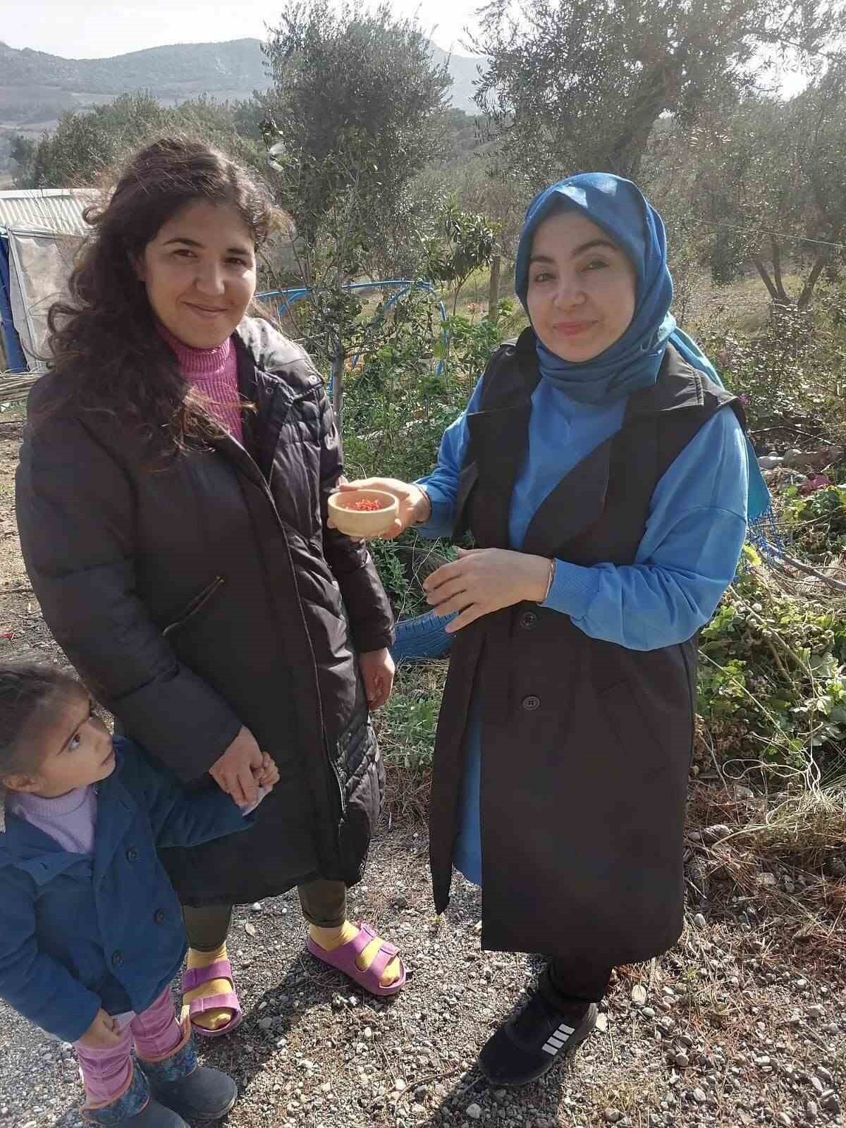 OSMANİYE’DE YÜKSEK GETİRİLİ SAFRANA İLGİ ARTIYOR