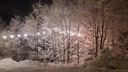 Rize’de beklenen kar yağışı başladı, yüksek kesimler beyaza büründü