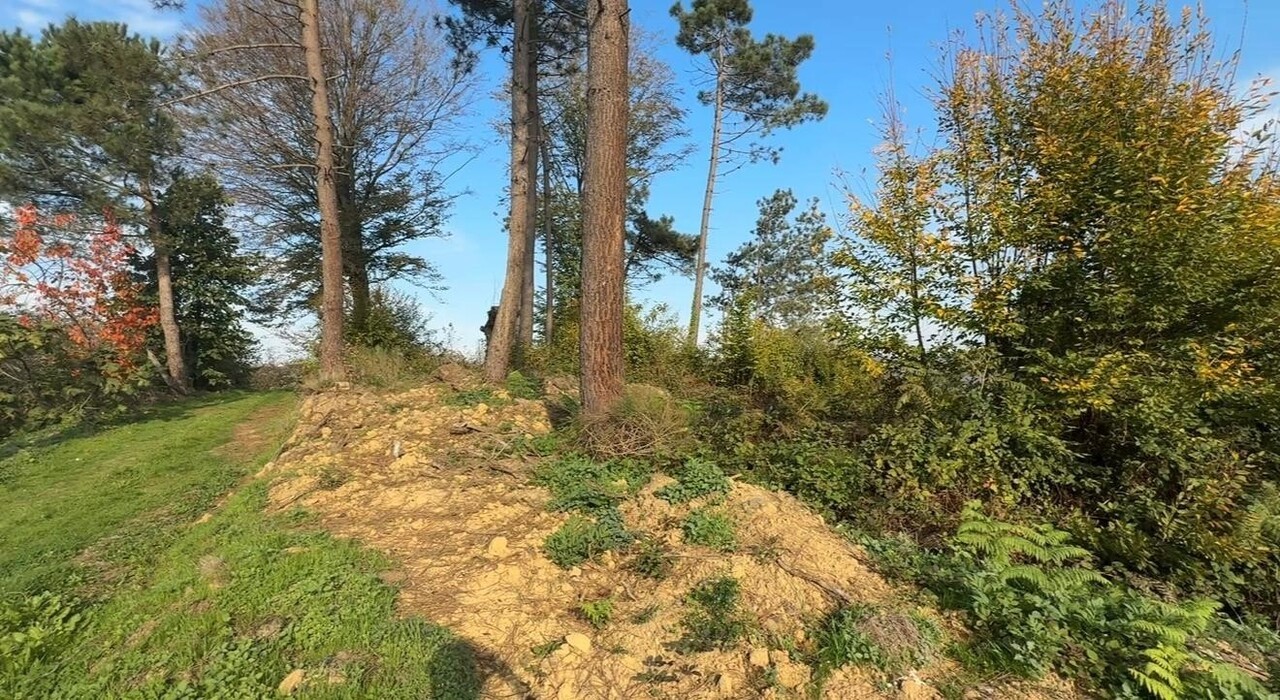 SAKARYA'NIN KOCAALİ İLÇESİNDE YAKLAŞIK 400 YILLIK TARİHE SAHİP OLDUĞU ÖNE SÜRÜLEN ESKİ MEZARLIK...