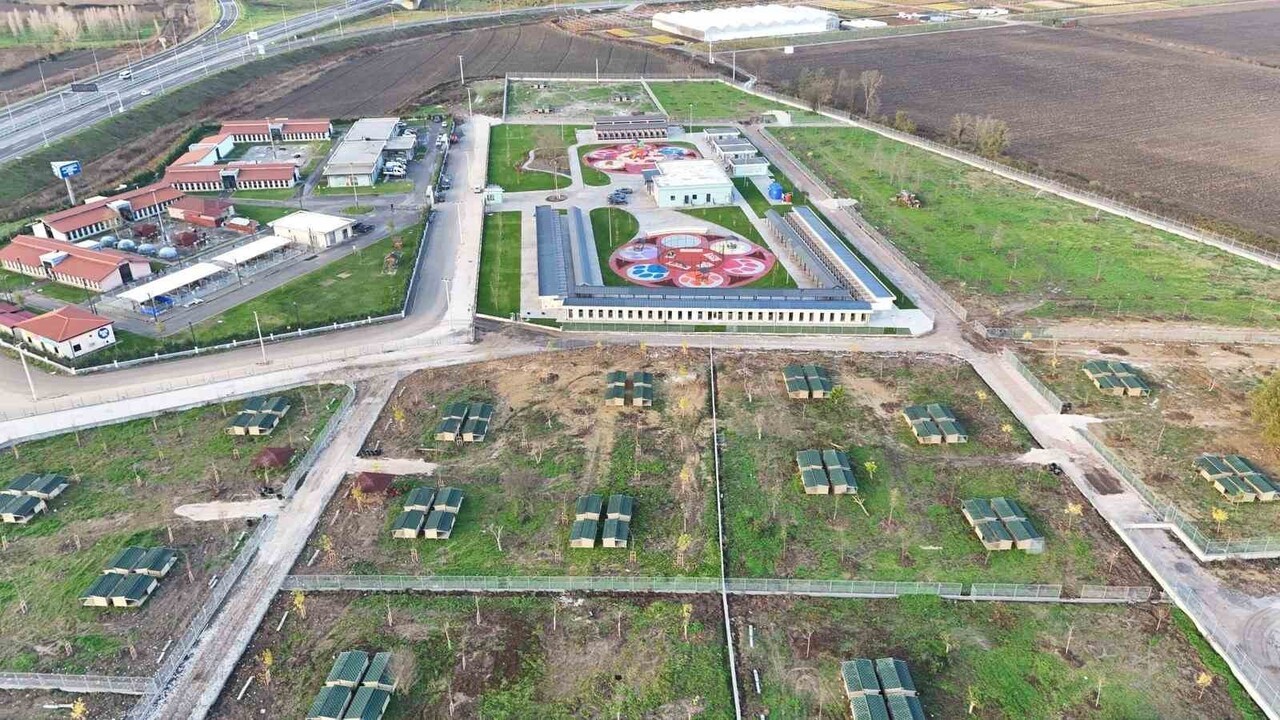 SAKARYA BÜYÜKŞEHİR BELEDİYESİ’NİN SOKAK HAYVANLARIYLA İLGİLİ TÜRKİYE'YE ÖRNEK OLAN 10 BİN HAYVAN...