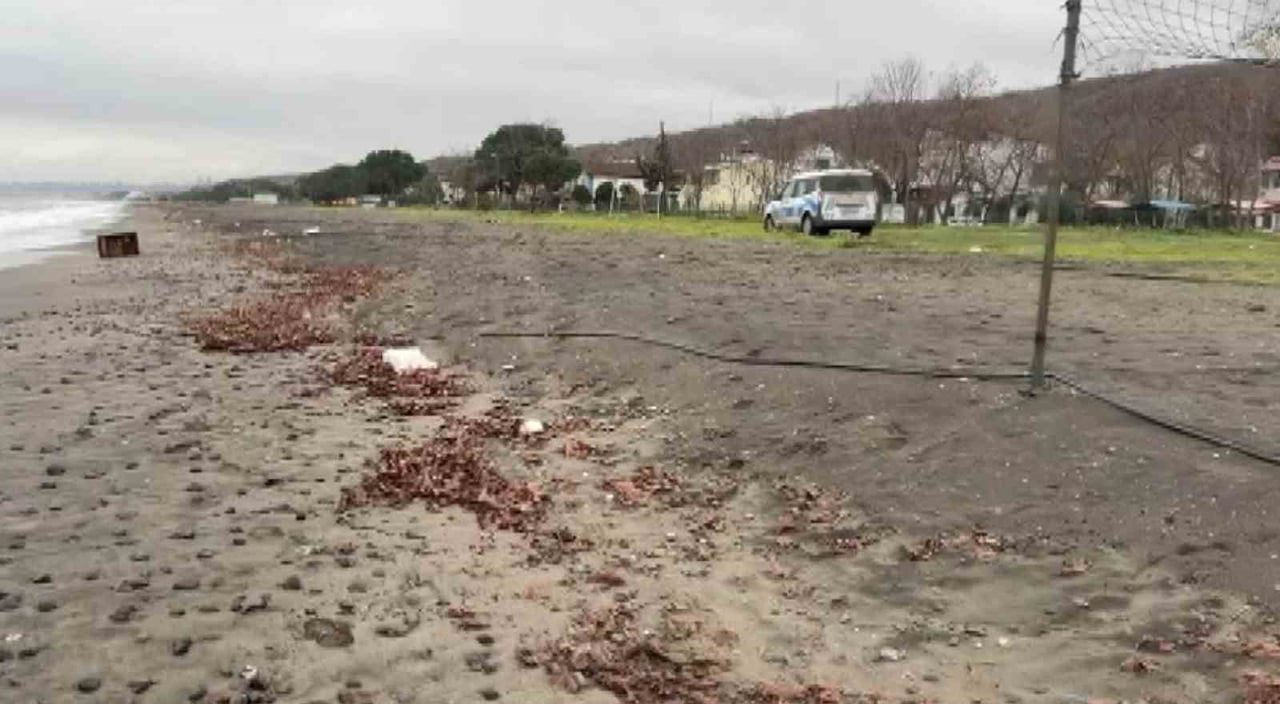 SAMSUN’UN ATAKUM İLÇESİ İNCESU MEVKİSİNDE SAHİLE VURAN BİR SANDIK, POLİS EKİPLERİNCE İNCELEMEYE...