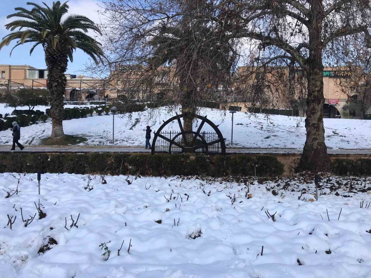 ŞANLIURFA'DA KAR YAĞIŞI SONRASI BEYAZA BÜRÜNEN TARİHİ BALIKLIGÖL, URFA KALESİ VE KIZILKOYUN...