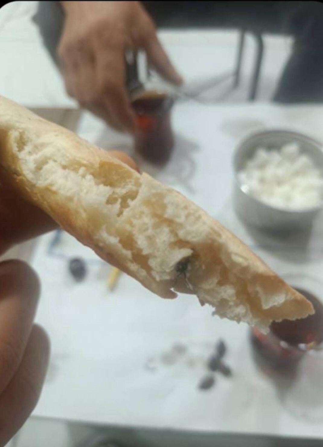 SİİRT’İN KURTALAN İLÇESİNDE FIRINDAN ALINAN EKMEĞİN İÇİNDEN SİNEK ÇIKTIĞI İDDİA...