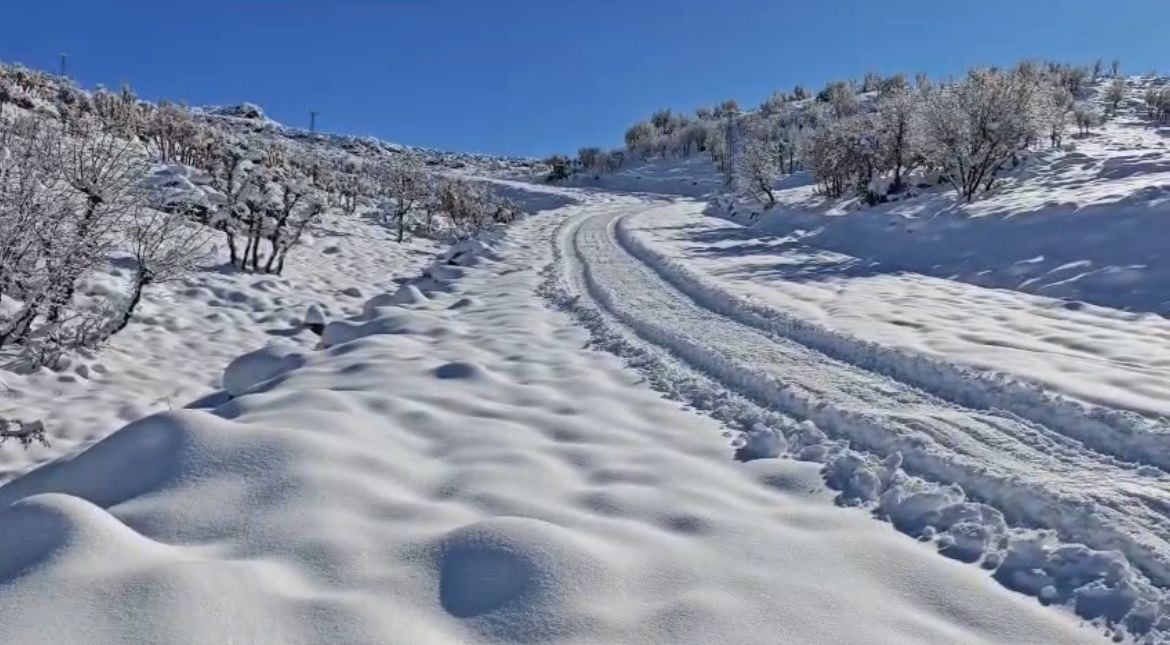 SİİRT’TE YOĞUN KAR YAĞIŞI NEDENİYLE OKULLAR YARIM GÜN TATİL EDİLDİ.