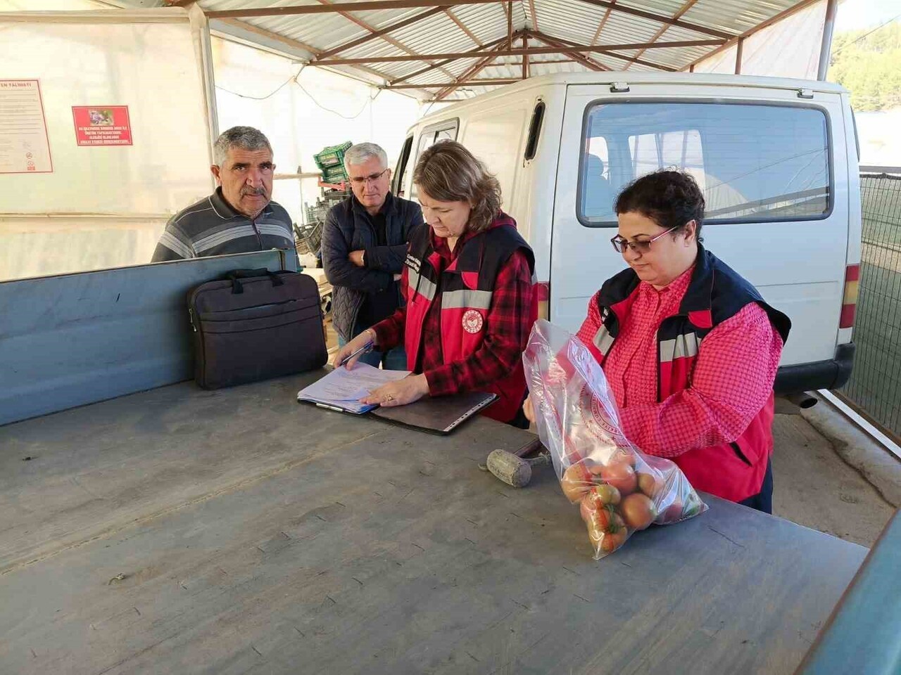 SİMAV'DA SERA ALANLARINDAN DOMATES NUMUNESİ ALIMI