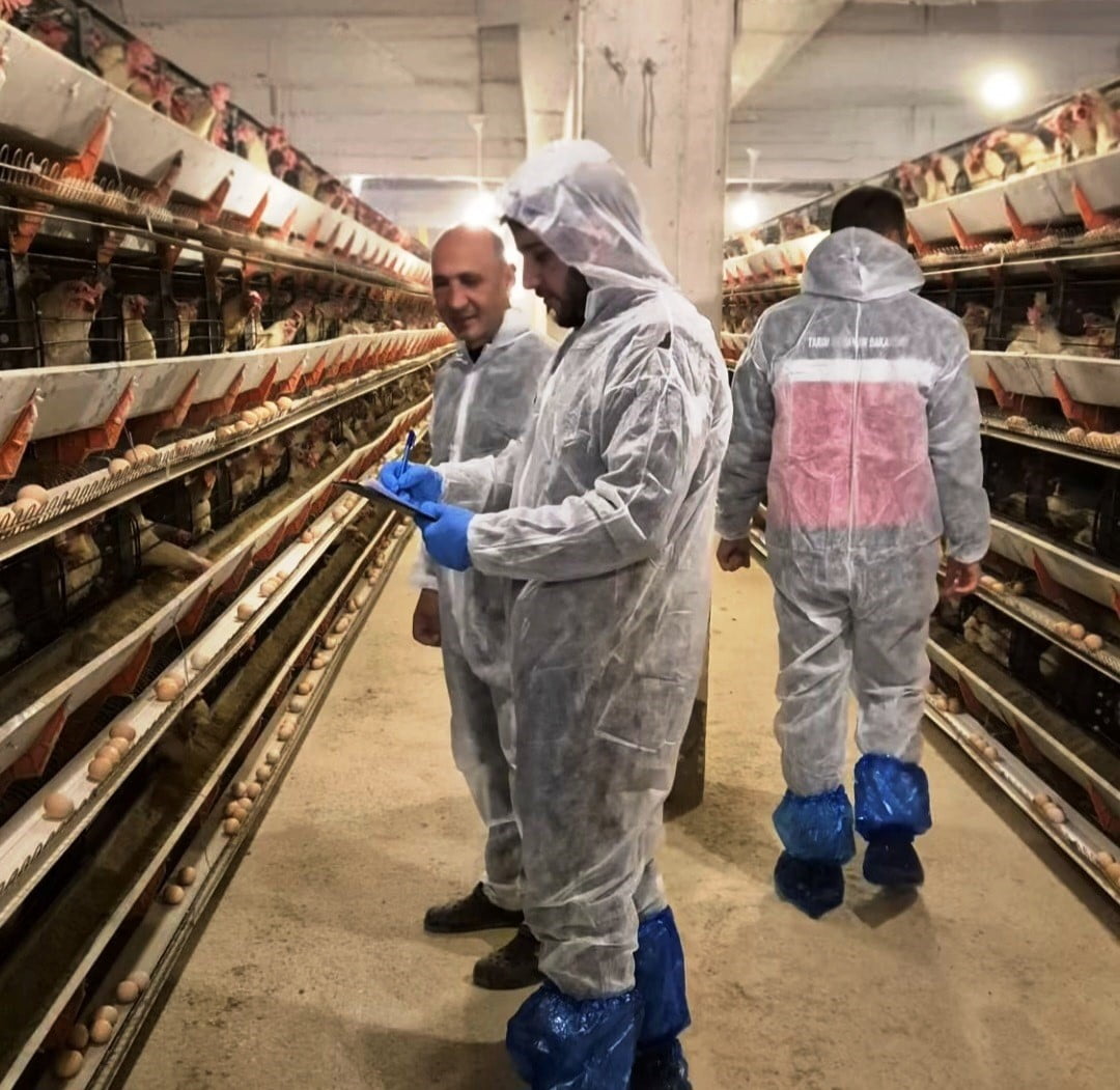 SİMAV’DA TİCARİ YUMURTACI TAVUKÇULUK İŞLETMESİNDE İLK RESMİ DENETİM