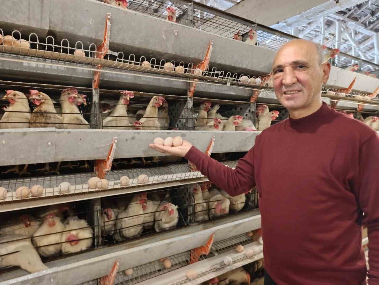 SİMAV’IN KUŞU BELDESİNDE GÜNLÜK 15 BİN YUMURTA ÜRETİMİ