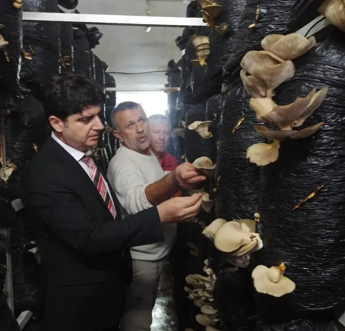 SİNOP’TA, İL TARIM VE ORMAN MÜDÜRLÜĞÜ İLE HALK EĞİTİM MERKEZİ İŞ BİRLİĞİYLE "MANTAR...