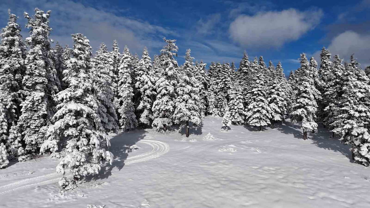 SİNOP’UN YÜKSEK KESİMLERİNDE ETKİLİ OLAN KAR YAĞIŞI KARTPOSTALLIK GÖRÜNTÜLER...