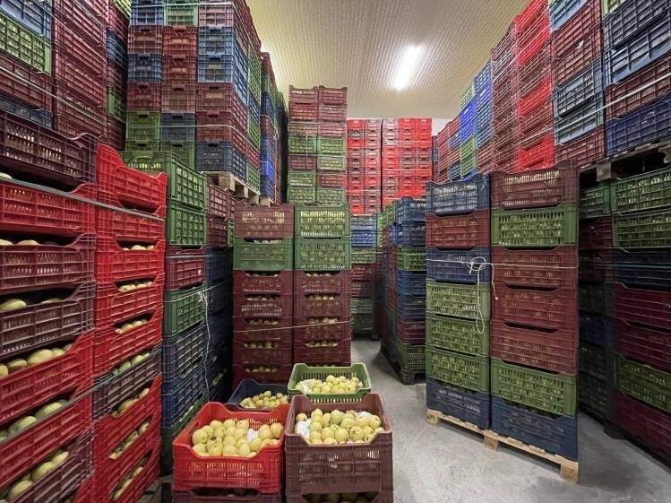 SOĞUK HAVA DEPOSU TAM KAPASİTE HİZMET VERİYOR