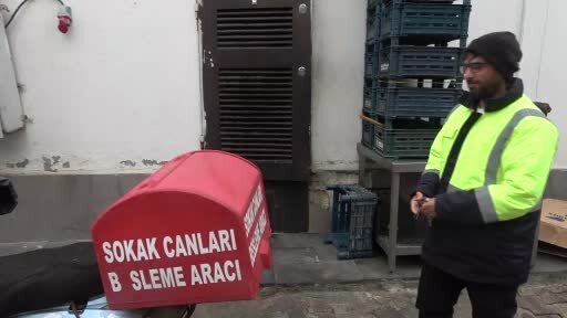 Sokak hayvanlarının sessiz kahramanı