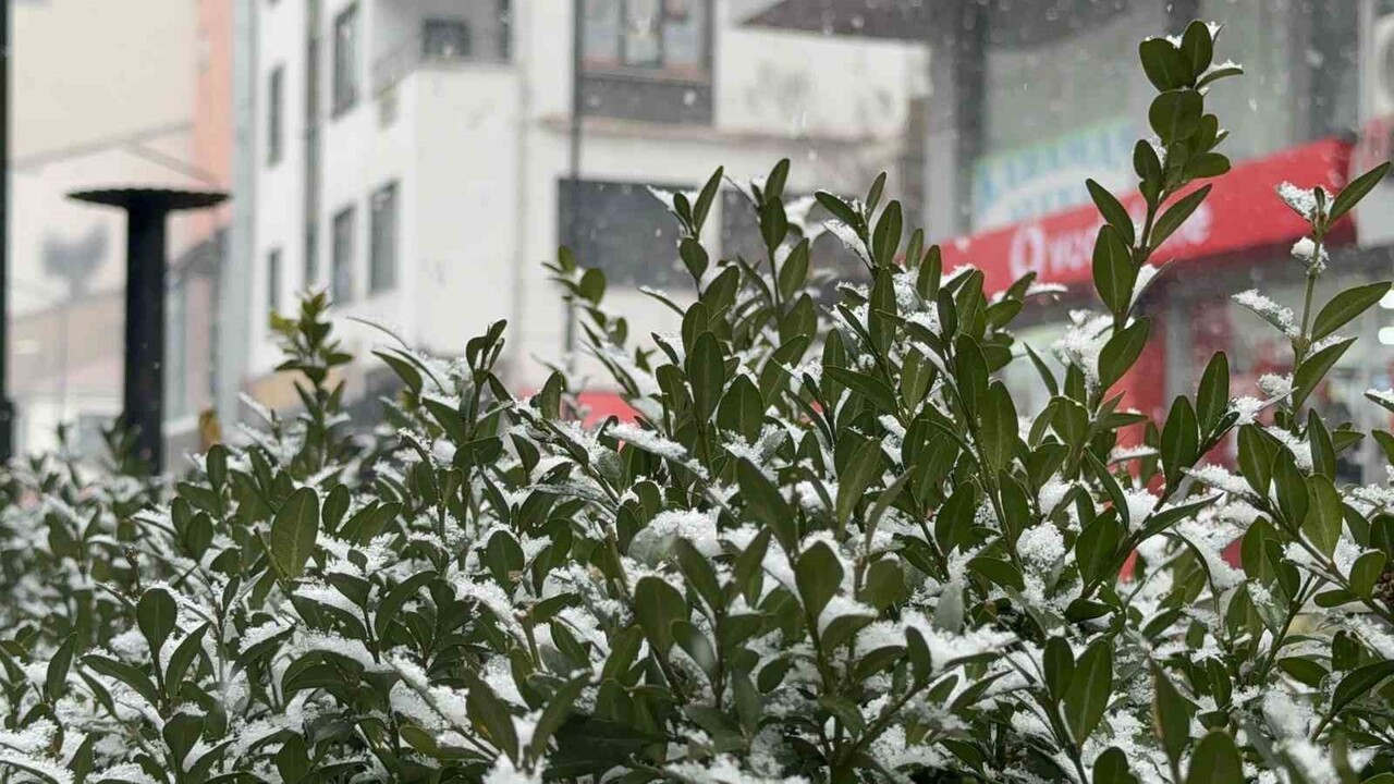 TATVAN’DA KAR YAĞIŞI ETKİLİ OLUYOR