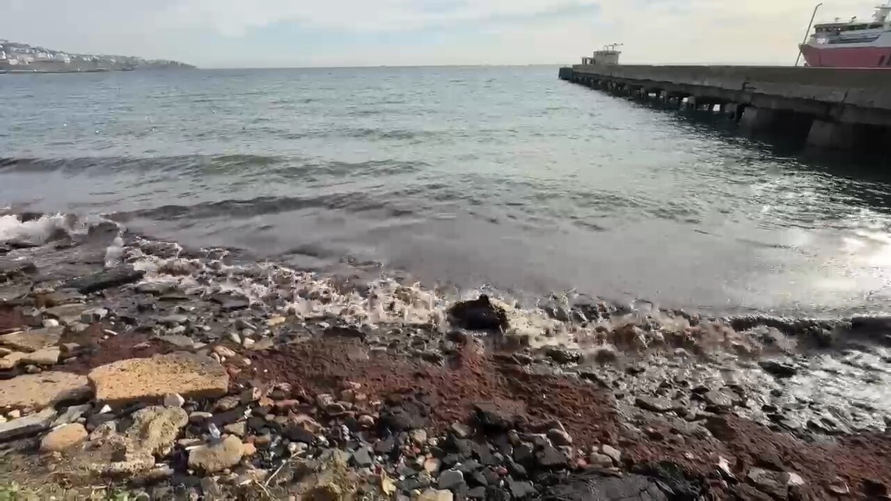 TEKİRDAĞ'DA İKİ GÜNDÜR ETKİSİNİ SÜRDÜREN POYRAZ, DENİZDE OLUŞTURDUĞU DALGALAR SONUCU KIYIDA KIZIL...