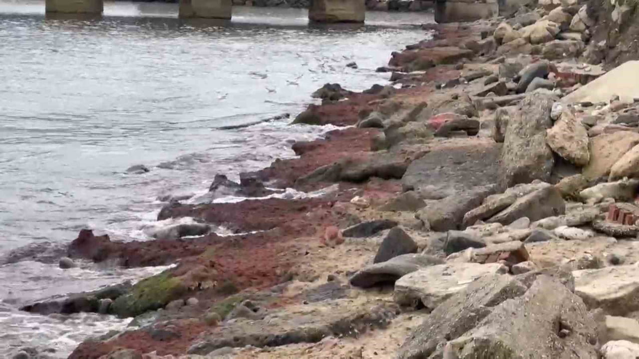 TEKİRDAĞ’DA ÜÇ GÜNDÜR ETKİSİNİ SÜRDÜREN KUVVETLİ POYRAZ NEDENİYLE SAHİLİN BAZI BÖLÜMLERİ KIRMIZI...