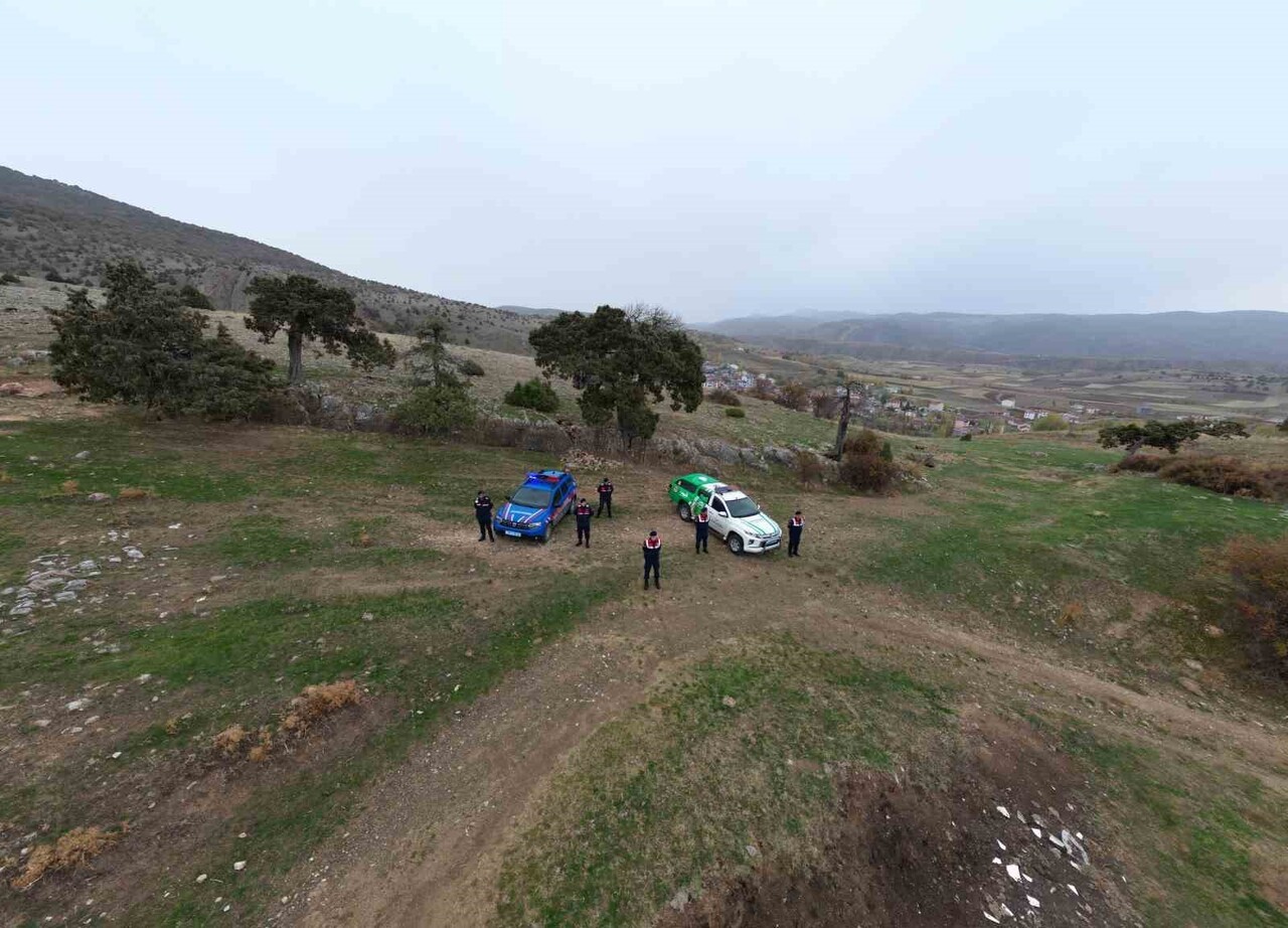 TOKAT (İHA) - TOKAT MERKEZE BAĞLI GÜNÇALI KÖYÜNDE 508 YILLIK ARDIÇ AĞACININ ANIT AĞAÇ OLARAK...