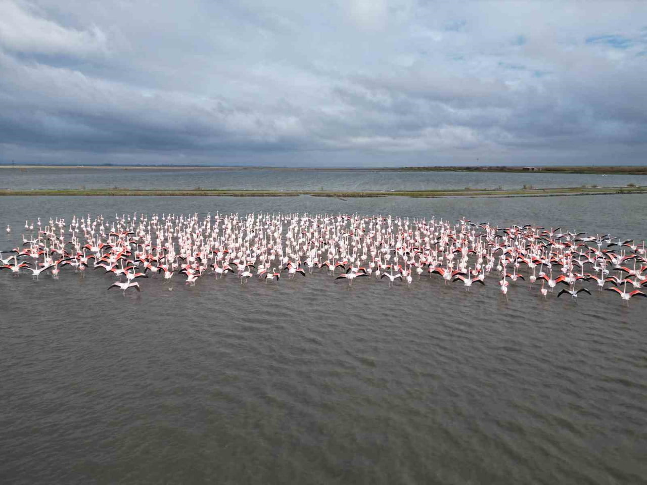 TÜRKİYE–YUNANİSTAN SINIRINA YAKIN BİR NOKTADA BULUNAN GALA GÖLÜ, GÖÇ YOLLARINDAKİ BİNLERCE KUŞ...