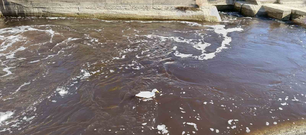 TURKUAZ RENGİYLE BİLİNEN GÖKSU NEHRİ SİYAH AKMAYA BAŞLADI.