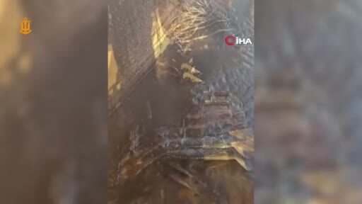 Ukrayna Deniz Kuvvetleri, ayçiçeği yağı yüklü Türkiye'ye ait "VIVA" adlı geminin, tahıl koridoru...