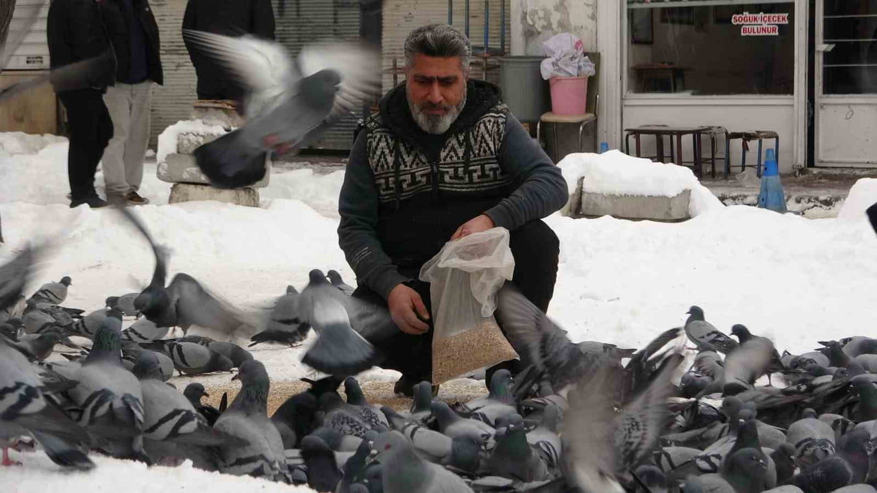 VAN’DAKİ AHMED-İ HANİ KÜLTÜR PARKI ÇEVRESİNDEKİ BİNALARIN ÇATI KATLARINI MESKEN TUTAN BİNLERCE...