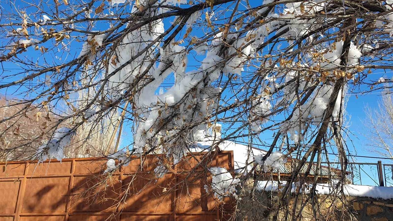 VAN’IN BAŞKALE İLÇESİNDE ETKİLİ OLAN DONDURUCU SOĞUKLAR NEDENİYLE AĞAÇLAR, ARAÇLAR VE SU...