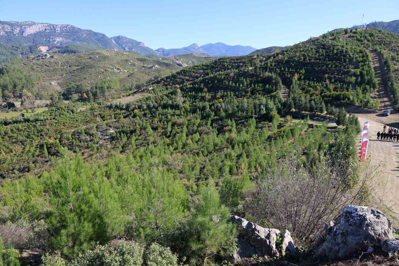 YANAN SAHANIN YENİDEN YEŞİLE DÖNÜŞTÜĞÜ GÖRÜLDÜ.