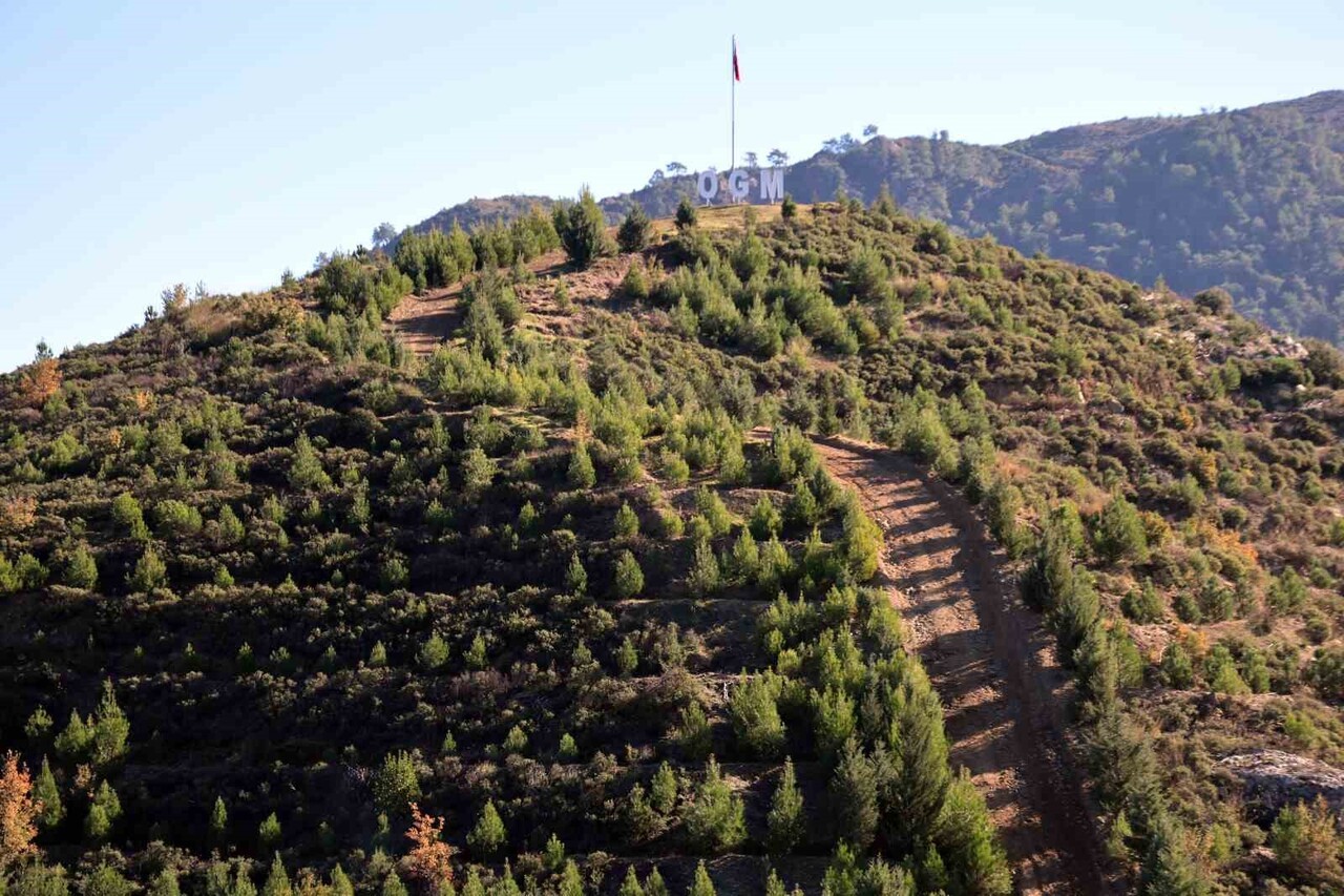YANAN SAHANIN YENİDEN YEŞİLE DÖNÜŞTÜĞÜ GÖRÜLDÜ.