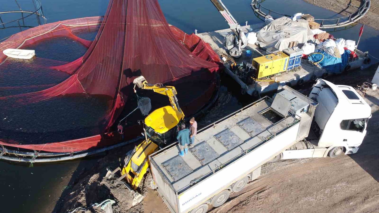 YOZGAT’IN ÇEKEREK İLÇESİNDE YETİŞTİRİLEN ALABALIKLAR, YURT DIŞI PAZARINA GÖNDERİLİYOR