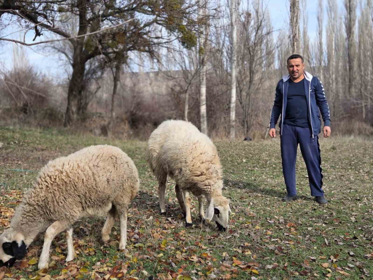 YOZGAT’IN SORGUN İLÇESİNE BAĞLI ARAPLI KASABASINDA YAŞAYAN EROL ÖNAL, KESMEK AMACIYLA ALDIĞI İKİ...