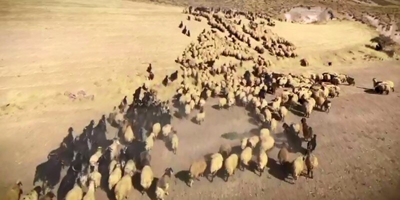 ZAMANIN USTALARI (MASTERS OF TİME) BELGESEL SİNEMA PROJESİNDEN MERAKLA BEKLENEN İLK GÖRÜNTÜLER...