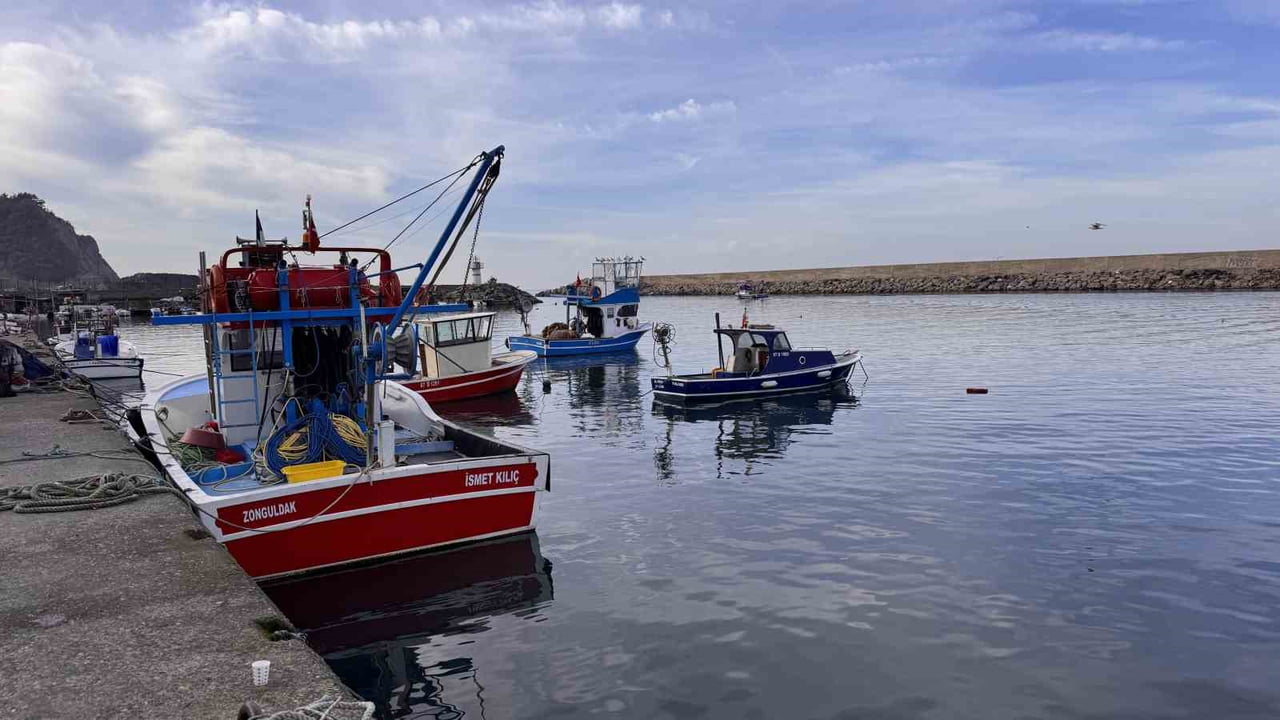 ZONGULDAK'TA HAMSİ YOĞUNLUĞU YAŞANDI, PALAMUT ÇIKMADI