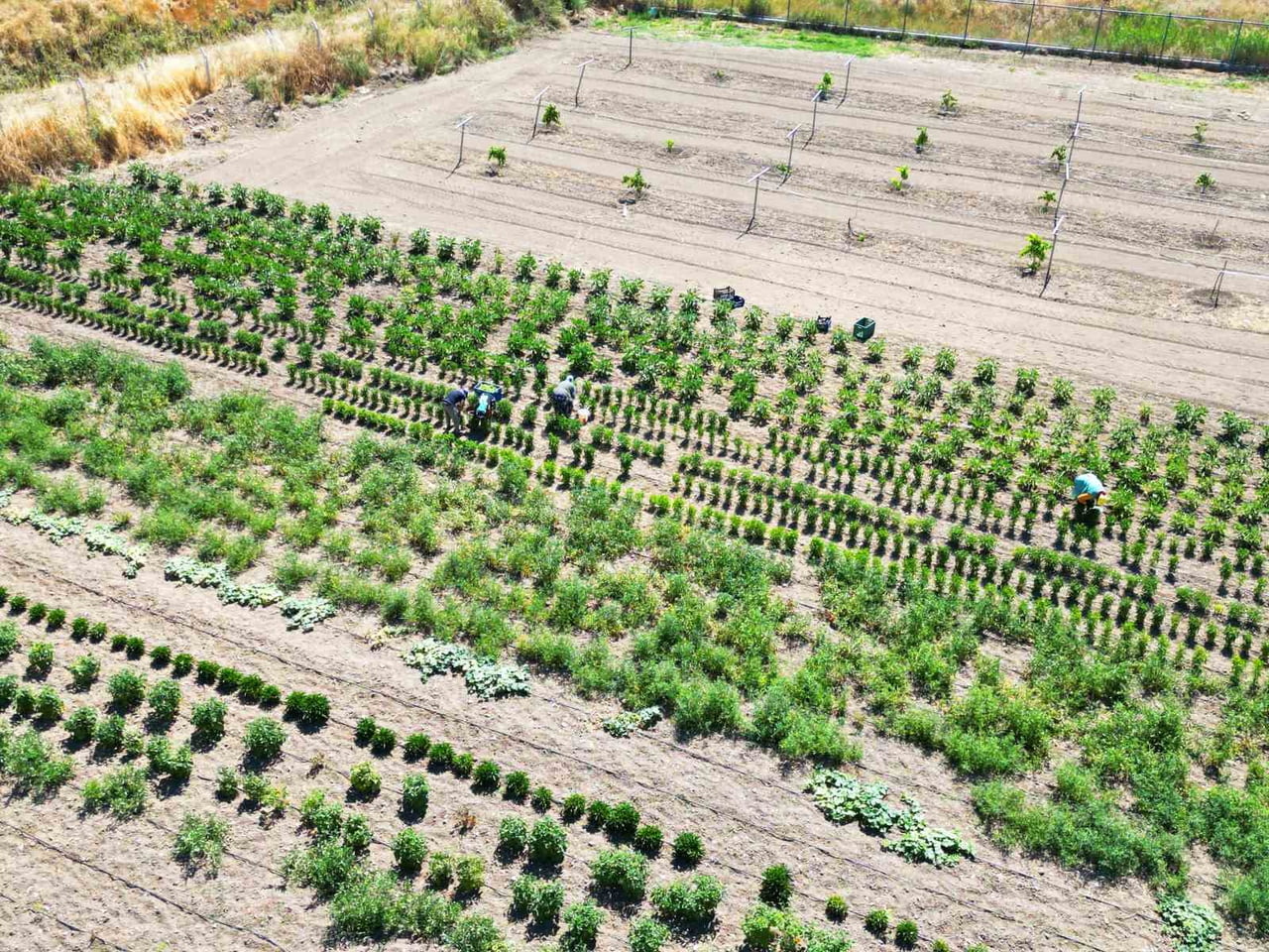 2025 YILINDA ÜRETİM PORTFÖYÜNÜ KATMA DEĞERLİ ÜRÜNLERLE GENİŞLETMEYE ODAKLANAN ETİ ALÜMİNYUM, DEVAM...