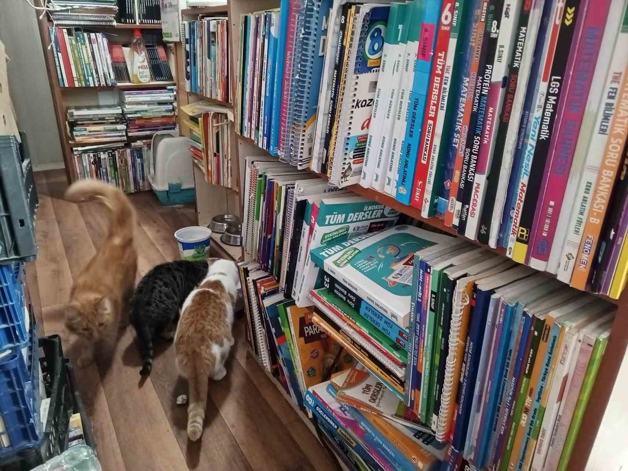 6 ŞUBAT DEPREMLERİNİN ARDINDAN İŞ YERİNİN YENİDEN İNŞA EDİLMESİ NEDENİYLE KONTEYNERE TAŞINAN SAHAF...