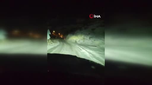 Aç kalan yaban domuzu kara yoluna indi