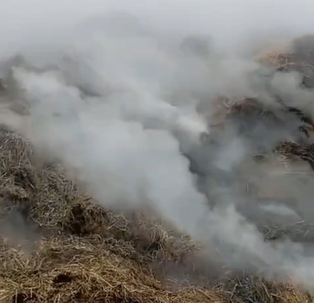 ADANA'NIN KARAİSALI İLÇESİNDE DÜN GECE BAŞLAYAN VE BUGÜN DE DEVAM EDEN SAMANLIK YANGINI İTFAİYE...