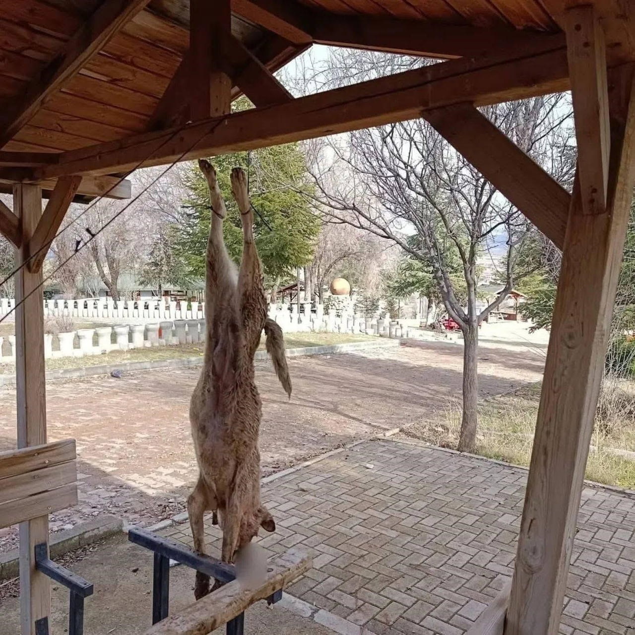 AFYONKARAHİSAR'DA BİR PARKTAKİ CARDAĞA ASILAN SOKAK KÖPEĞİ VAHŞİCE KATLEDİLİRKEN, OLAYLA İLGİLİ...