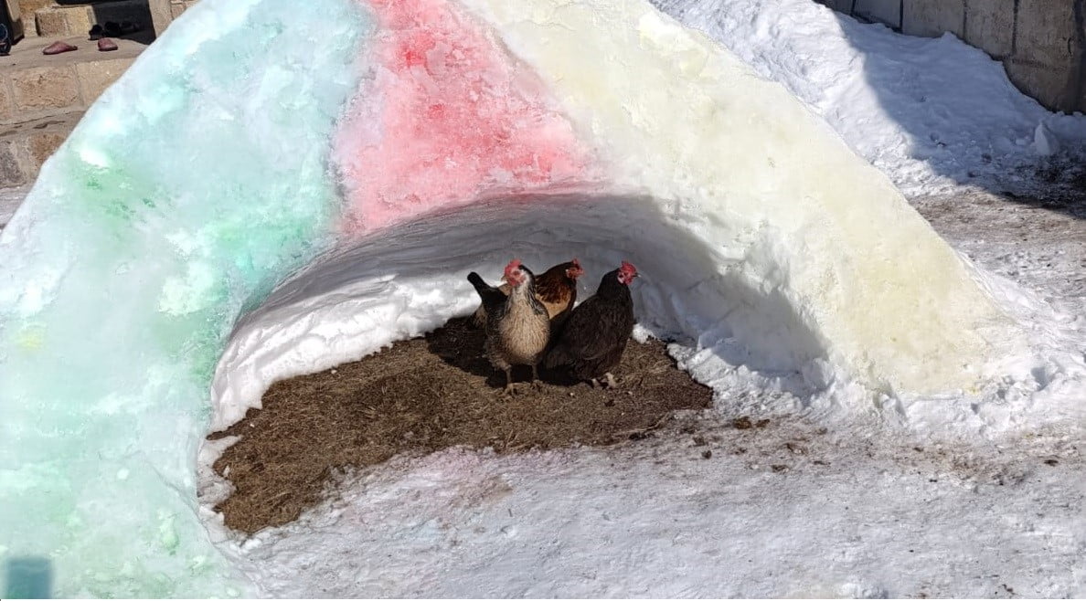 AĞRI'NIN DİYADİN İLÇESİNDE ETKİLİ OLAN YOĞUN KAR VE DONDURUCU SOĞUKLAR, SOKAK HAYVANLARI İÇİN...