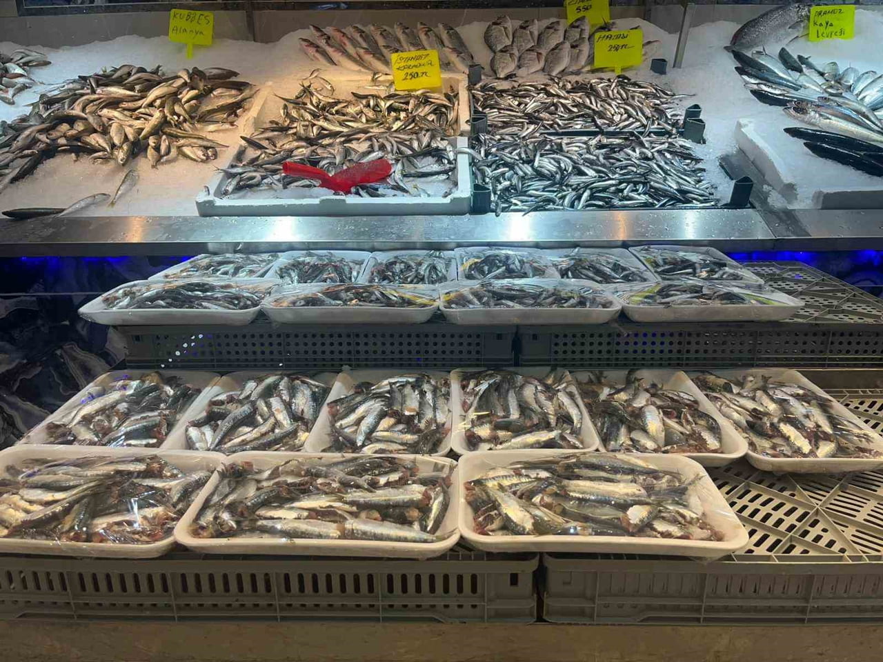 ALANYA İLÇESİNDE UCUZ HALK PAZARI VE BALIKÇI HALİNDE FAALİYET GÖSTEREN BİR BALIKÇI ŞEHİT VE...