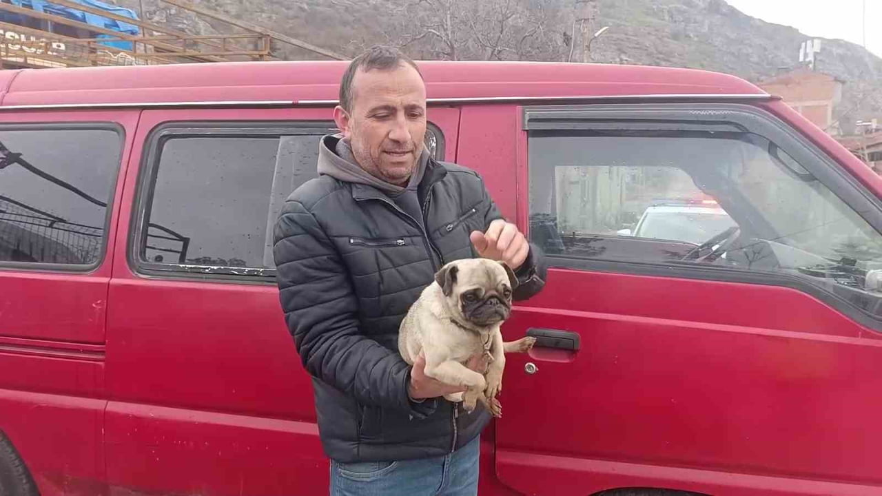 AMASYA’DA BİR İŞYERİNDE ÇIKAN YANGINDA MAHSUR KALAN KÖPEĞİ, MAHALLENİN MUHTARI KURTARDI. ALEVLERİ...