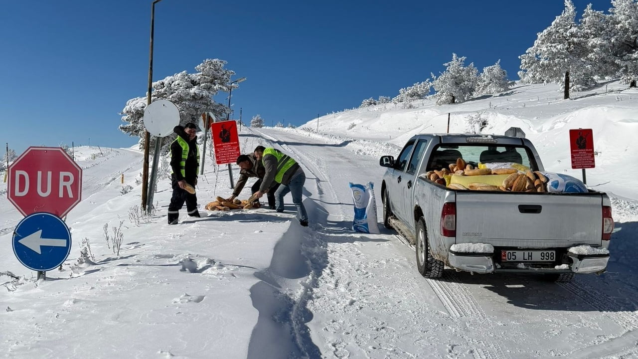 AMASYA’NIN MERZİFON İLÇESİNDE KAR YAĞIŞI SONRASI DOĞADA YİYECEK BULMAKTA ZORLANAN YABAN HAYVANLARI...